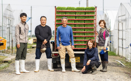 新米 新潟県産 もち米『こがねもち』3kg（2升）令和6年産 つやつやモチモチ もち米ならではの芳醇な香り 清耕園ファーム 【餅 赤飯 おこわ ご飯 ライス ふるさと納税 米 ブランド米】【もち こがねもち もち米 こがねもち 】