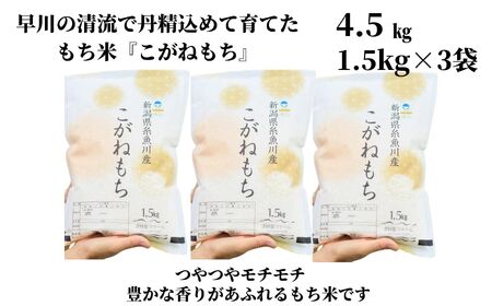 新米 新潟県産 もち米『こがねもち』4.5kg（3升）令和6年産 つやつやモチモチ もち米ならではの芳醇な香り 清耕園ファーム 【餅 赤飯 おこわ ご飯 ライス ふるさと納税 米 ブランド米】【もち こがねもち もち米 】