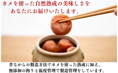 特級 無添加 減塩 梅干し 越の梅 520g(260g×2パック）新潟県糸魚川 白梅 梅干 梅干し 人気 ご家庭用 天然 新潟県糸魚川 うめぼし はちみつ梅 梅ちゃんfarm笠井 梅干し 梅干し 