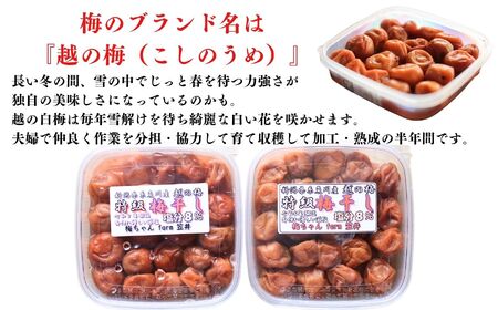 特級 無添加 減塩 梅干しセット 越の梅 560g(260g×1パック/笹川流れの塩使用300g×1パック）こだわりの塩使用 新潟県糸魚川 白梅 梅干 梅干し 人気 ご家庭用 天然 新潟県糸魚川 うめぼし はちみつ梅 梅ちゃんfarm笠井 梅干し 梅干し 