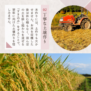 【2026年3月中旬発送】新潟県妙高産コシヒカリ5kg※沖縄県・離島配送不可