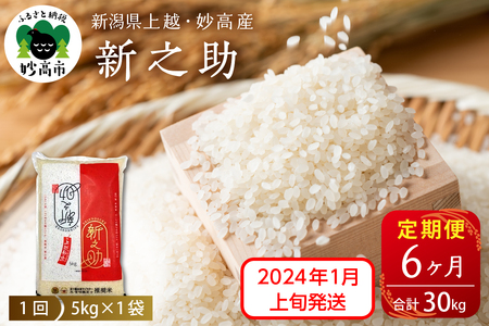 定期便】【2024年1月上旬より発送】新潟県上越・妙高産新之助5kg（計