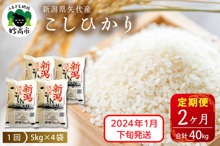 定期便】【2024年1月下旬より発送】新潟県矢代産コシヒカリ20kg×2回