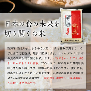 定期便】【2024年1月下旬より発送】新潟県上越・妙高産新之助2kg×6回