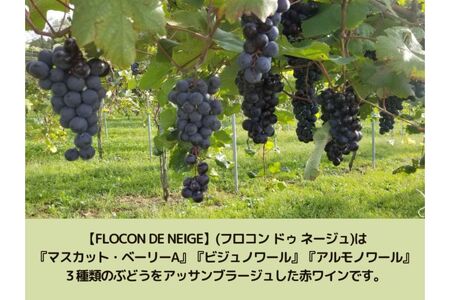 妙高ワイン【FLOCON DE NEIGE 2022】お酒 酒 ワイン 赤ワイン フロコン ドゥ ネージュ 晩酌 家飲み 宅飲み 国産 お取り寄せ 新潟県 妙高市