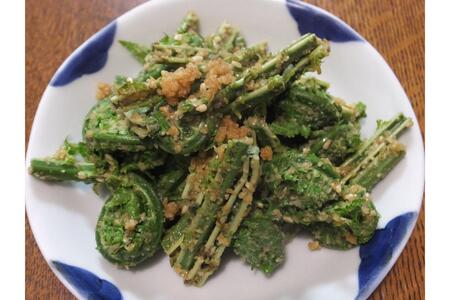 【3月下旬より発送】天然こごみ 山菜 天ぷら ごま和え 春の味覚 産地直送 国産 新潟県 妙高市