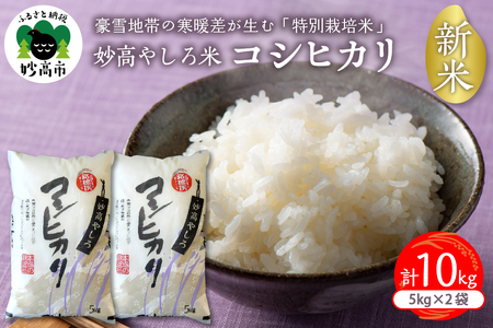 令和6年産新潟県　妙高やしろ米 コシヒカリ10kg(５㎏×2袋) 米 精米 お取り寄せ 妙高市