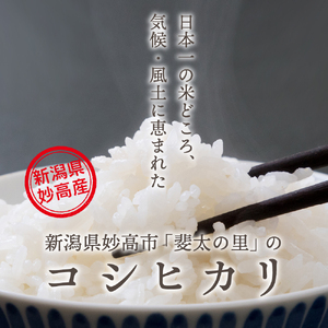 【2025年4月中旬発送】【令和6年産】新潟県妙高産斐太の里コシヒカリ「旬」5kg 艶 香り 粘り 甘み 低温倉庫保管