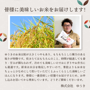 【2025年4月中旬発送】【令和6年産米】新潟県妙高産斐太の里コシヒカリ「旬」20kg(5kg×4袋) 艶 香り 粘り 甘み 低温倉庫保管