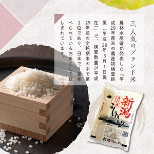 【2025年5月下旬発送】令和6年産 新潟県矢代産コシヒカリ10kg 上越 こしひかり 米どころ 精米 白米 コメ お米 ご飯 ごはん おにぎり 弁当 便利 大人気 グルメ 10キロ