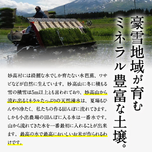 【2024年12月中旬発送】令和6年産 新潟県妙高産こしひかり「星降る里」5kg 白米 精米 ブランド米 お取り寄せ コシヒカリ 5キロ 新潟 妙高市 小出農場