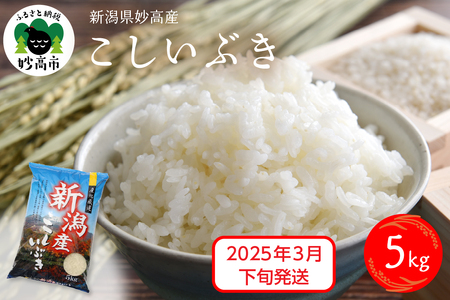 【2025年3月下旬発送】令和6年産 新潟県妙高産こしいぶき5kg 白米 精米 お取り寄せ 5キロ 新潟 妙高市 小出農場