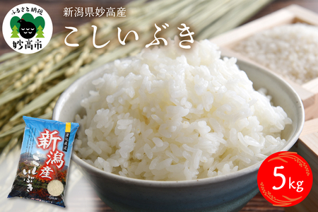 【2026年6月中旬発送】令和7年産 新潟県妙高産こしいぶき5kg 白米 精米 お取り寄せ 5キロ 新潟 妙高市 小出農場