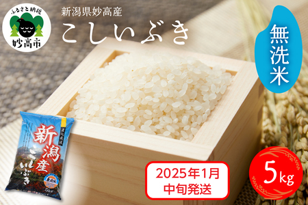 【2025年1月中旬発送】令和6年産 新潟県妙高産こしいぶき5kg 無洗米 白米 精米 お取り寄せ 5キロ 新潟 妙高市 小出農場