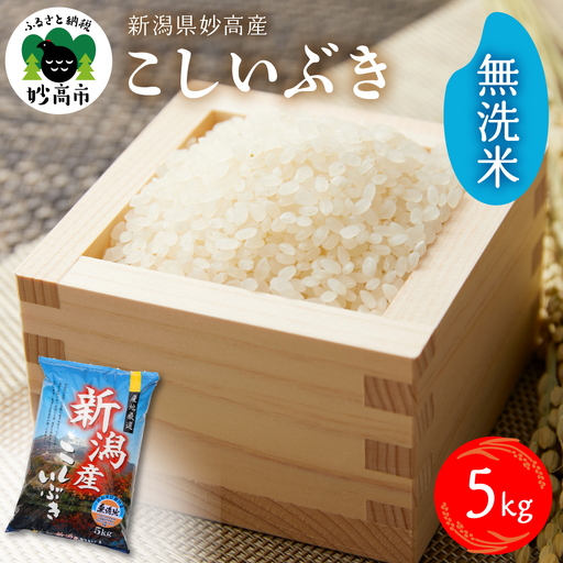 【2026年7月中旬発送】令和7年産 新潟県妙高産こしいぶき5kg 無洗米 白米 精米 お取り寄せ 5キロ 新潟 妙高市 小出農場