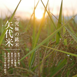 【10月中旬より発送】令和7年産服部米蔵の妙高矢代産コシヒカリ10kg × 1袋 妙高産 米   クラフト米袋 白米 お米 農家直送 送料無料 新潟県 妙高市