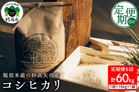 【10月中旬より発送】【定期便】令和7年産服部米蔵の妙高矢代産コシヒカリ 10kg×6回（計60kg）