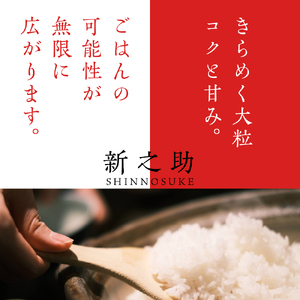2026年3月中旬発送【定期便】令和7年産新潟県上越・妙高産新之助2kg×2回（計4kg）