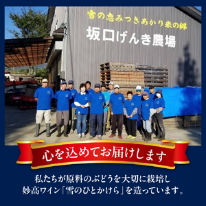 妙高ワイン【雪のひとかけら 2023＆2024】 数量限定 お酒 酒 ワイン 赤ワイン マスカット・ベーリーA ビジュノワール アルモノワール 辛口 12% FLOCON DE NEIGE フロコン ドゥ ネージュ 晩酌 家飲み 宅飲み 国産 お取り寄せ 贈答 ギフト 冷蔵 新潟県 妙高市 飲み比べ