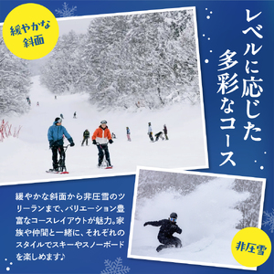 池の平温泉アルペンブリックスキー場　リフト1日券（ICカード引換券）1枚 2025 - 2026 シーズン スキー スノーボード リフト券 妙高山 野尻湖 ゲレンデ アウトドア スポーツ 冬 チケット 旅行 新潟県 妙高市