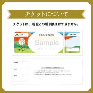 池の平温泉アルペンブリックスキー場　リフト1日券（ICカード引換券）1枚 2025 - 2026 シーズン スキー スノーボード リフト券 妙高山 野尻湖 ゲレンデ アウトドア スポーツ 冬 チケット 旅行 新潟県 妙高市