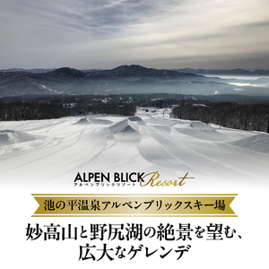 池の平温泉アルペンブリックスキー場　リフト1日券（ICカード引換券）3枚 2025 - 2026 シーズン スキー スノーボード リフト券 妙高山 野尻湖 ゲレンデ アウトドア スポーツ 冬 チケット 旅行 新潟県 妙高市