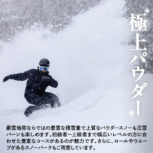 池の平温泉アルペンブリックスキー場　リフト1日券（ICカード引換券）3枚 2025 - 2026 シーズン スキー スノーボード リフト券 妙高山 野尻湖 ゲレンデ アウトドア スポーツ 冬 チケット 旅行 新潟県 妙高市