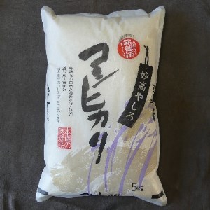 2022年12月発送開始『定期便』【定期便毎月】妙高やしろ米コシヒカリ5kg×1袋 全5回【5094755】