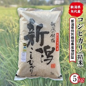 2022年12月発送開始『定期便』新潟県矢代産コシヒカリ 精米5kg全6回【5103284】