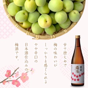 君の井 梅酒 720ml×1本 梅 やや辛口 晩酌 家飲み 宅飲み ロック 冷 酒 国産 お取り寄せ 新潟県 妙高市