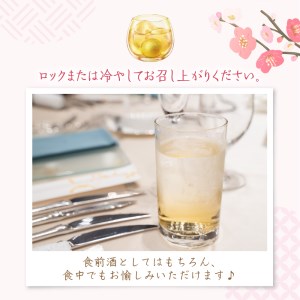 君の井 梅酒 720ml×1本 梅 やや辛口 晩酌 家飲み 宅飲み ロック 冷 酒 国産 お取り寄せ 新潟県 妙高市