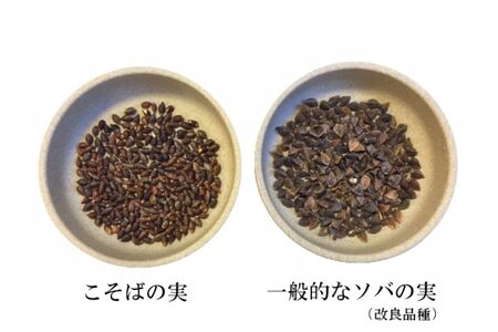 妙高こそば×4人前 妙高田舎蕎麦×2人前 計6人前セット 特製つゆ付き 生めん 太打ち 打ち立て 本枯節出汁 在来種蕎麦 石臼引き 国産 新潟県 妙高市