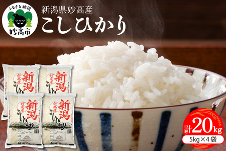 【2026年4月下旬発送】新潟県妙高産コシヒカリ 20kg こしひかり 米どころ 精米 白米 コメ お米 ご飯 おにぎり 弁当 便利 大人気 甘み 粘り 逸品 希少価値 ブランド米