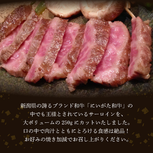 【新潟県産】にいがた和牛サーロインステーキ 250g × 2 計 500g 冷凍 牛肉 高級 肉 国産 ブランド牛 新潟牛 和牛 記念日 誕生日 お祝い お取り寄せ グルメ 新潟県 妙高市