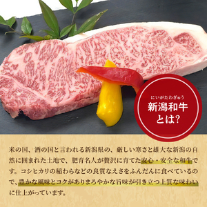 【新潟県産】にいがた和牛サーロインステーキ 250g × 2 計 500g 冷凍 牛肉 高級 肉 国産 ブランド牛 新潟牛 和牛 記念日 誕生日 お祝い お取り寄せ グルメ 新潟県 妙高市