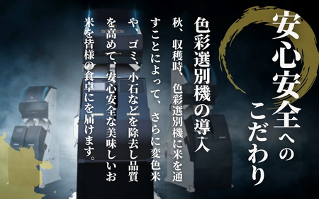 令和7年度産 新之助 精米 5kg | 新潟県産 新之助 米