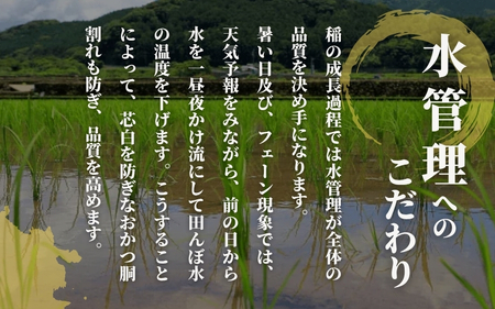 令和7年度産 無洗米セット 2kg（コシヒカリ1kg、新之助1kg）| 無洗米
