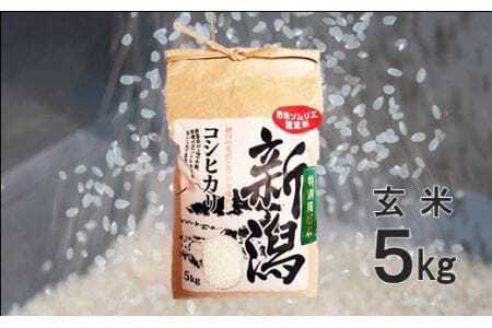 令和7年度産 特別栽培米コシヒカリ 玄米 5kg | 新潟県産 コシヒカリ