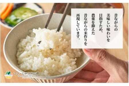 令和7年産 特別栽培米コシヒカリ 南郷米 5kg