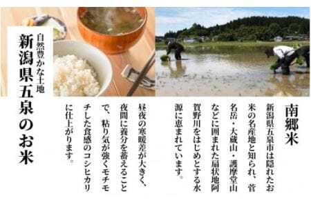 令和7年産 特別栽培米コシヒカリ 南郷米 5kg