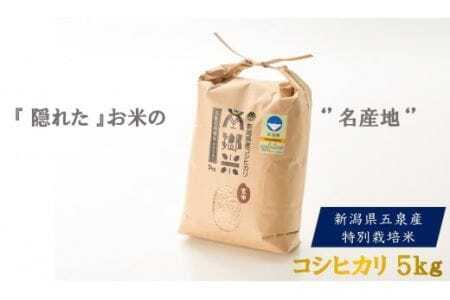 令和7年産 新米 特別栽培 コシヒカリ 南郷米 玄米 5kg