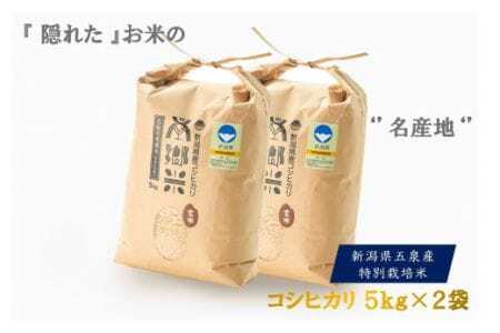 令和7年産 新米 特別栽培 コシヒカリ 南郷米 玄米 10kg（5kg×2袋）