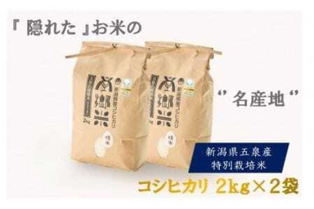 令和7年産 特別栽培米コシヒカリ 南郷米 4kg（2kg×2袋）