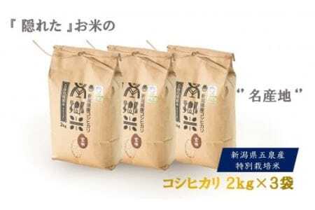 令和7年産 新米 特別栽培コシヒカリ 南郷米 玄米 6kg（2kg×3袋）