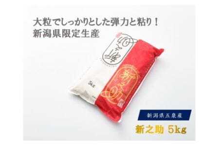 令和7年度産 新之助 精米 5kg | 新潟産 新之助 米