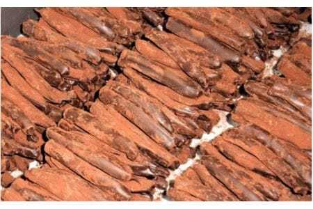 オランジェット 500g（約100本入り）| オレンジピール チョコレート