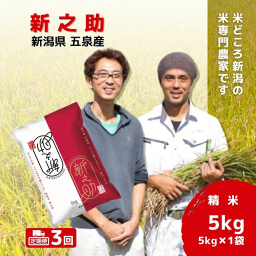 令和7年産米〈3回定期便〉わくわく農場の新之助 5kg | 新潟県 新之助