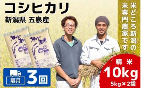 令和7年産米〈隔月3回定期便〉コシヒカリ 10kg(5kg×2袋) 新潟県産
