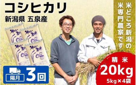 令和7年産米〈隔月3回定期便〉コシヒカリ 20kg(5kg×4袋) 新潟県産