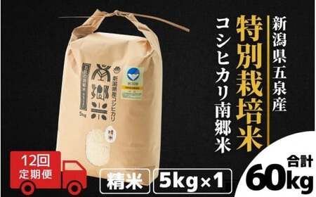 令和7年産米〈12回定期便〉特別栽培コシヒカリ 5kg | 新潟県